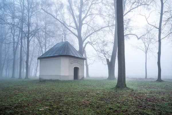 波兰Opole Voivodeship 一个位于多雾的St Anna山坡上的石棺保护区 — 图库照片