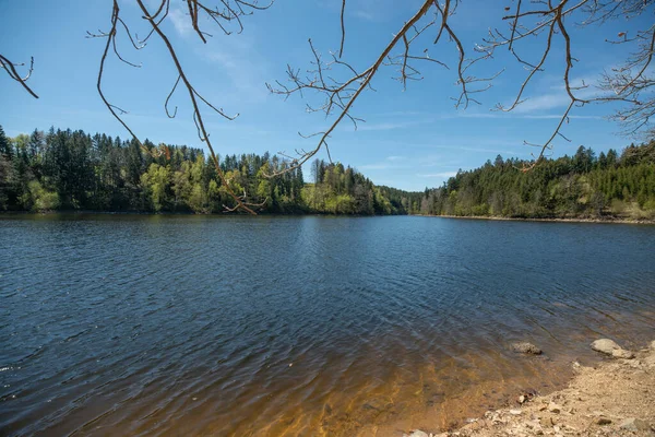Gros Plan Paysage Avec Lac Forêts Sur Les Rives Arrière — Photo