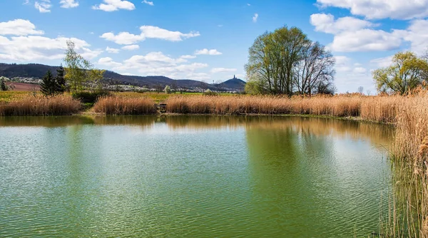 Uma Bela Vista Lago Verde Cercado Por Grama Árvores Sob — Fotografia de Stock