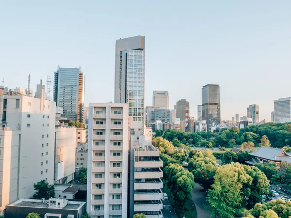 Piękny Widok Miasto Centrum Tokio Japonia — Zdjęcie stockowe