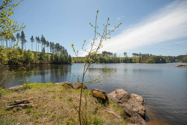Primer Plano Paisaje Con Lago Bosques Orillas Del Fondo — Foto de Stock