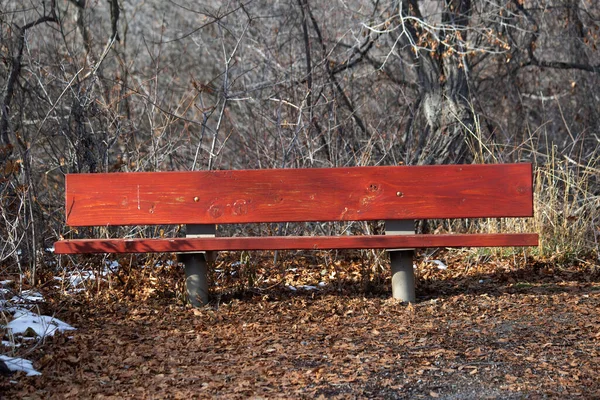 公園の赤いベンチのクローズアップショット — ストック写真