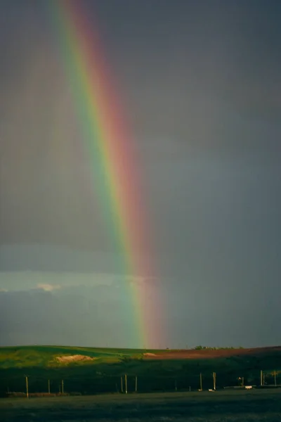 Ein Vertikaler Schuss Eines Beautifurainbow Über Das Feld — Stockfoto