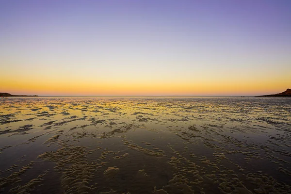 Der Mit Algen Bedeckte Ozean Bei Schönem Sonnenuntergang — Stockfoto