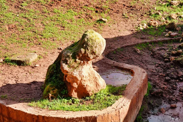 Uma Antiga Formação Rochosa Coberta Musgo Parque — Fotografia de Stock