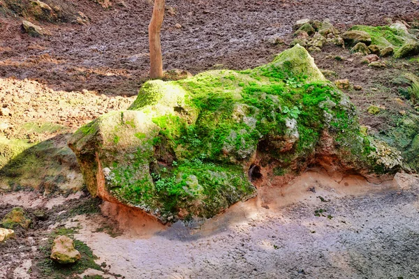 苔藓覆盖的花园里的一个古老的岩层 — 图库照片