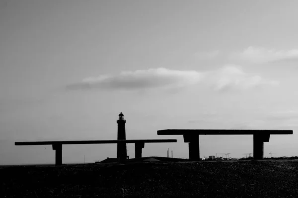 Een Grijsschaal Opname Van Een Landschap Met Silhouetten Van Houten — Stockfoto