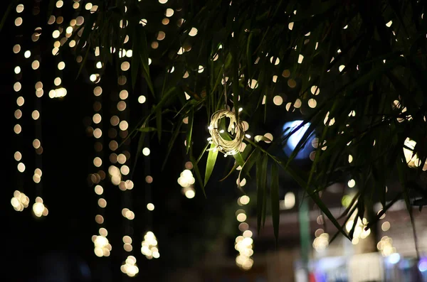 Palmiye Ağacının Üzerindeki Süsleme Işıkları Geceleri Güzel Sarı Bokeh Işıkları — Stok fotoğraf