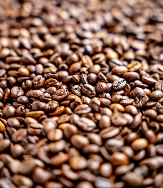 Närbild Färska Java Kaffebönor — Stockfoto