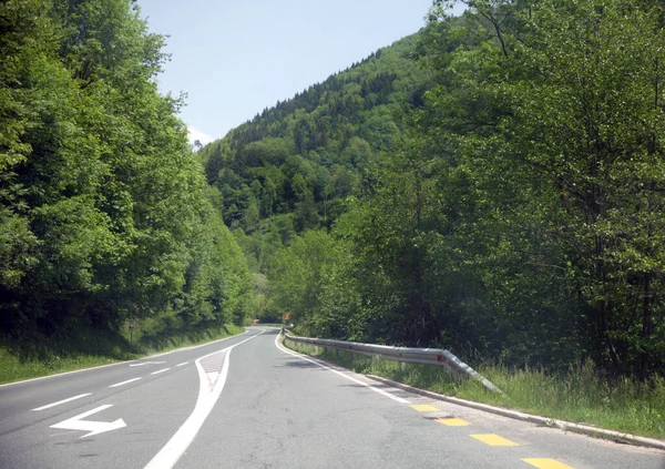 Una Stretta Strada Asfaltata Circondata Verdi Foreste Contro Cielo Limpido — Foto Stock