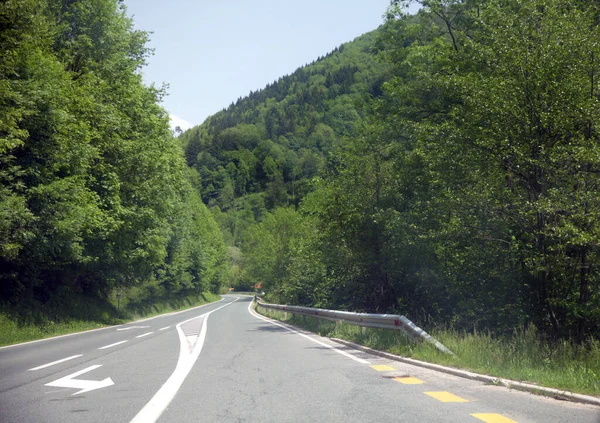 Narrow Asphalt Road Surrounded Green Forests Clear Sky Spring — Stock Photo, Image