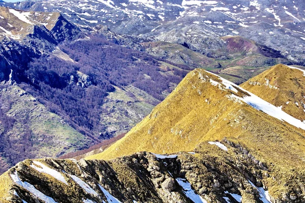 Eine Herrliche Aussicht Vom Schneebedeckten Gipfel Eines Berges Mit Wäldern — Stockfoto
