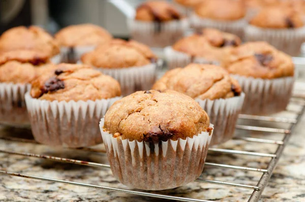 Eine Nahaufnahme Von Frisch Gebackenen Chocolate Chip Muffins — Stockfoto