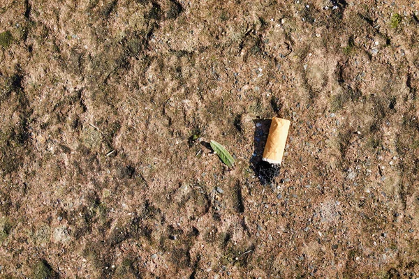 High Angle Shot Cigarette Butt Ground —  Fotos de Stock