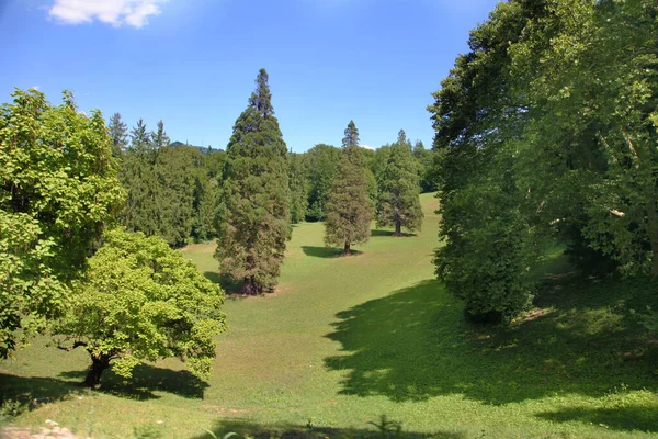 Krásný Výhled Zelenou Krajinu Spoustou Stromů — Stock fotografie