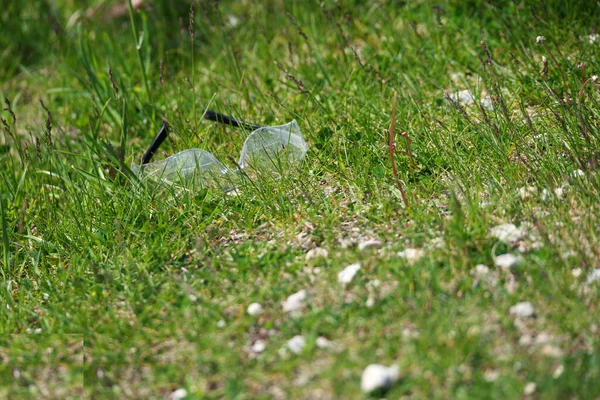 Primer Plano Las Gafas Cultivo Suelo Cubierto Por — Foto de Stock