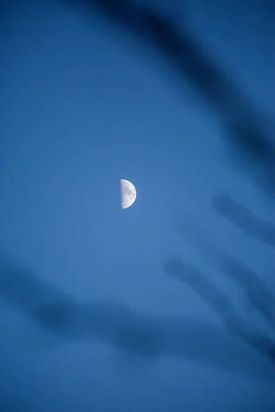 Una Toma Vertical Media Luna Cielo Despejado — Foto de Stock