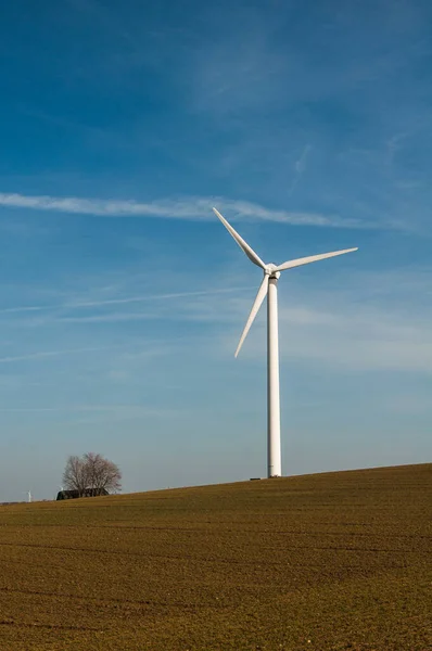 Pojedynczy Generator Wiatru Odizolowany Polu Rolniczym Drzewem Pod Błękitnym Niebem — Zdjęcie stockowe