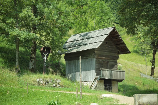 Eine Alte Holzhütte Einem Wald Umgeben Von Bäumen Und Viel — Stockfoto