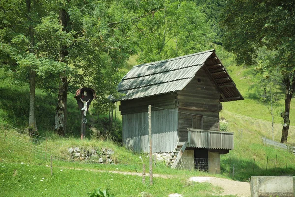 Een Oude Houten Hut Een Bos Omringd Door Bomen Groen — Stockfoto