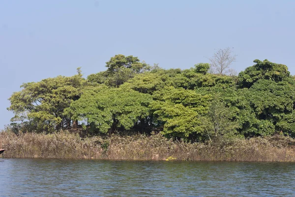 Closeup Shot Small Island Green Trees Clear Day — Stock Photo, Image