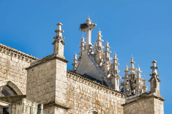 Prachtig Uitzicht Naalden Kruis Met Ooievaarsnest Kathedraal Van Palencia Spanje — Stockfoto