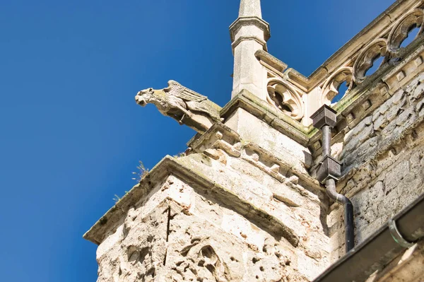 Plan Angle Bas Gargouille Ailée Dans Cathédrale Palencia Espagne — Photo