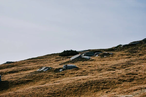언덕에 암석들의 아름다운 — 스톡 사진