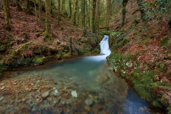 Una Pequeña Cascada Bosque Zona Galicia España — Foto de Stock