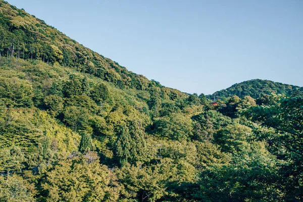 Close Uma Paisagem Montanhosa Kennin Kyoto — Fotografia de Stock