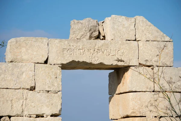 Mağripli Kertenkele Tarentola Mauritanica Güneşli Bir Sonbahar Gününde Malta Terk — Stok fotoğraf