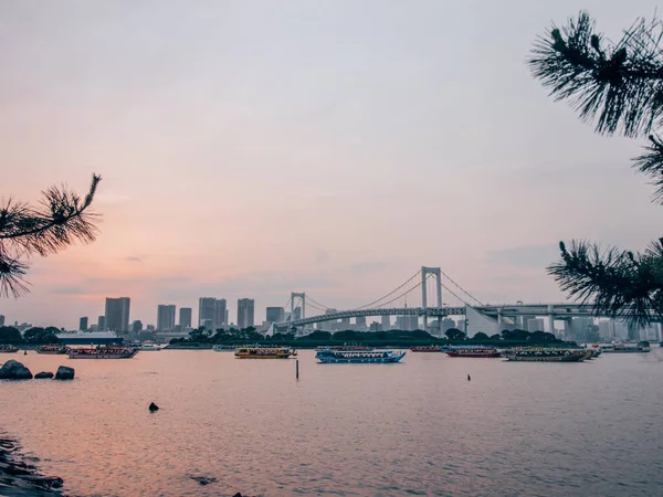 日落时东京城市景观的特写 完美的背景 — 图库照片
