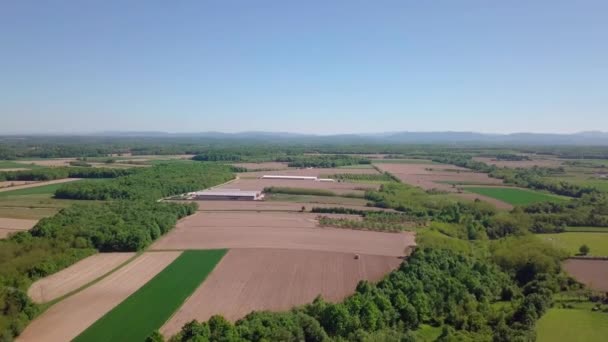 Vista Aérea Campos Agrícolas Cercados Por Árvores Dia Ensolarado — Vídeo de Stock