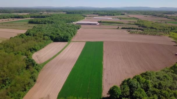 Vista Aérea Los Campos Agrícolas Rodeados Árboles Día Soleado — Vídeos de Stock