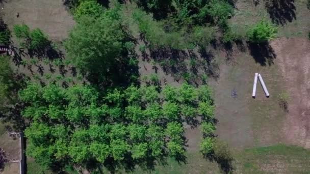 Uma Renderização Campo Agrícola Com Árvores Fruto Perto Rio — Vídeo de Stock