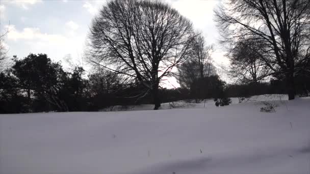 Uma Vista Perto Bela Paisagem Com Árvores Prados Cobertos Neve — Vídeo de Stock