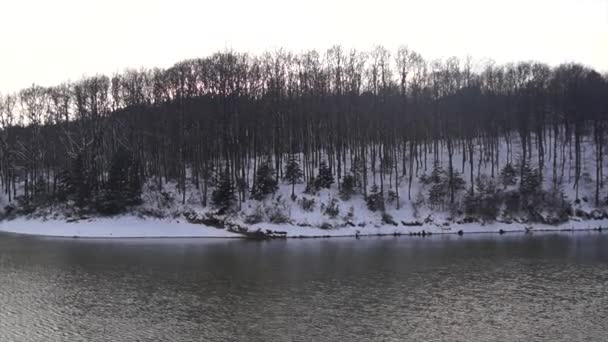 Winter Natuur Met Bomen Sneeuw Wolken Prachtig Landschap — Stockvideo