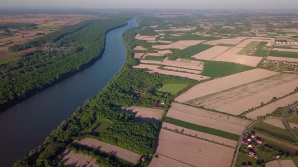 Vista Aérea Campos Agrícolas Cercados Por Árvores Perto Rio Dia — Vídeo de Stock