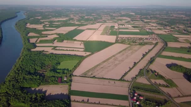 Vista Aérea Campos Agrícolas Cercados Por Árvores Perto Rio Dia — Vídeo de Stock