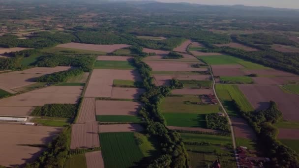Vista Aérea Campos Agrícolas Cercados Por Árvores Dia Ensolarado — Vídeo de Stock
