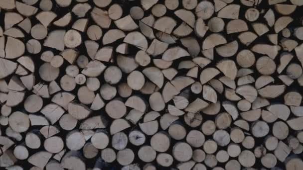 Holzstapel Hintergrund — Stockvideo