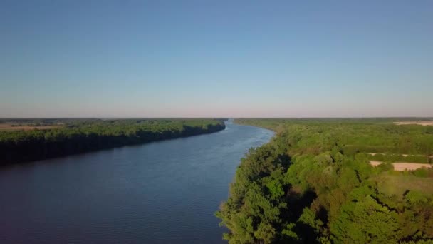 Vista Aérea Del Río Bosque — Vídeos de Stock