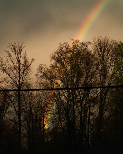 Una Bella Vista Alberi Spogli Con Uno Sfondo Arcobaleno Sotto — Foto Stock