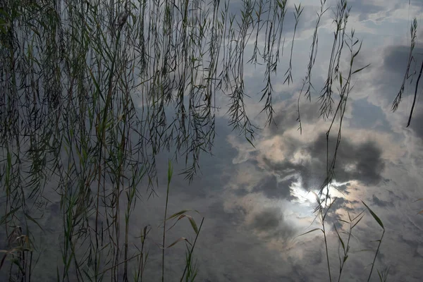 Angle Élevé Ciel Avec Hautes Herbes Réfléchies Sur Lac — Photo