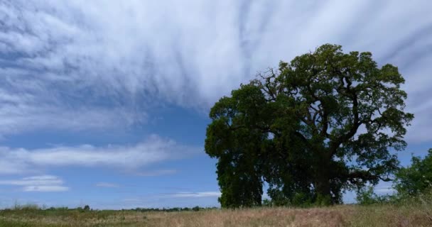 曇った空と青い空の風景 — ストック動画