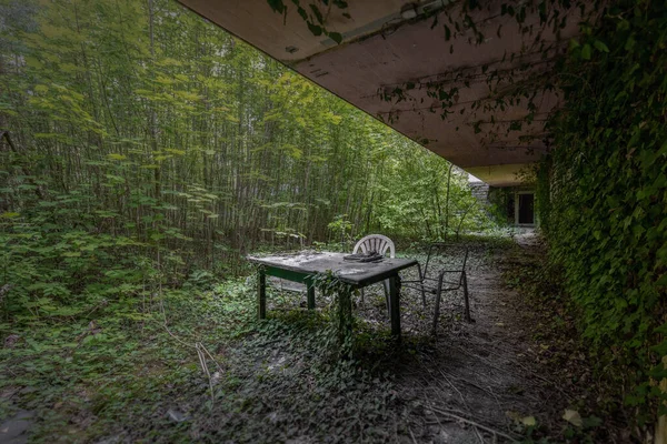 Selective Focus Outdoor Chairs Table Covered Crawling Vines Abandoned Building — Stock Photo, Image