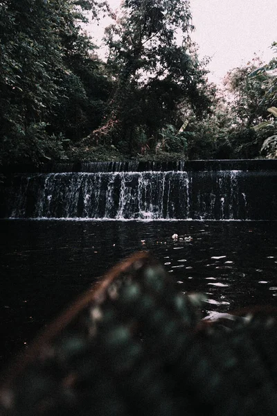 Vertical Shot Raging Waterfalls Surrounded Trees — Stock Photo, Image