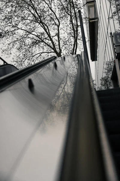 Bir Ağacın Arka Planındaki Yürüyen Merdivenin Alçak Açılı Görüntüsü — Stok fotoğraf