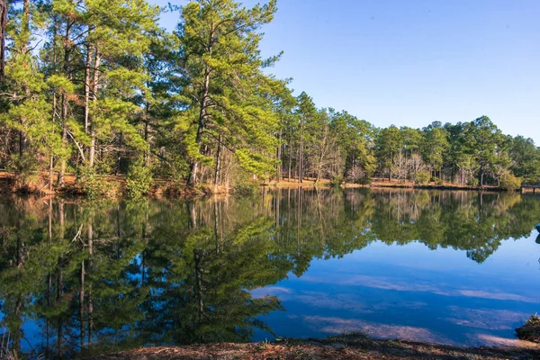 ジョージア州のGeneral Coffee State Parkの木々に囲まれた美しい湖 — ストック写真