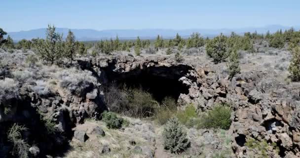 Hermosa Vista Naturaleza — Vídeo de stock